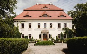 Palac Mojecice